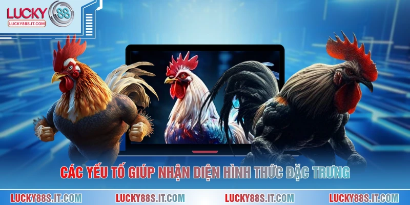 Các yếu tố giúp nhận diện hình thức đặc trưng