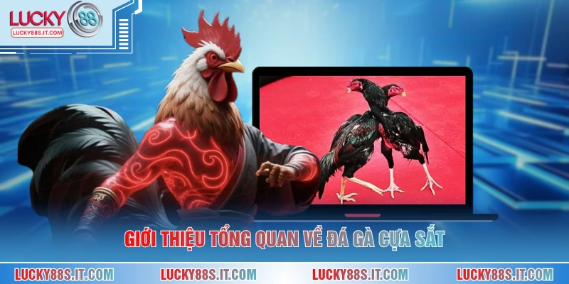 Giới thiệu tổng quan về đá gà cựa sắt