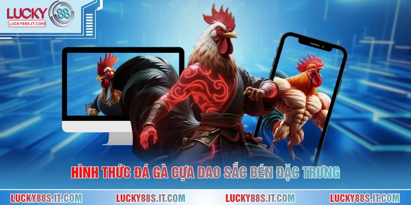 Hình thức đá gà cựa dao sắc bén đặc trưng