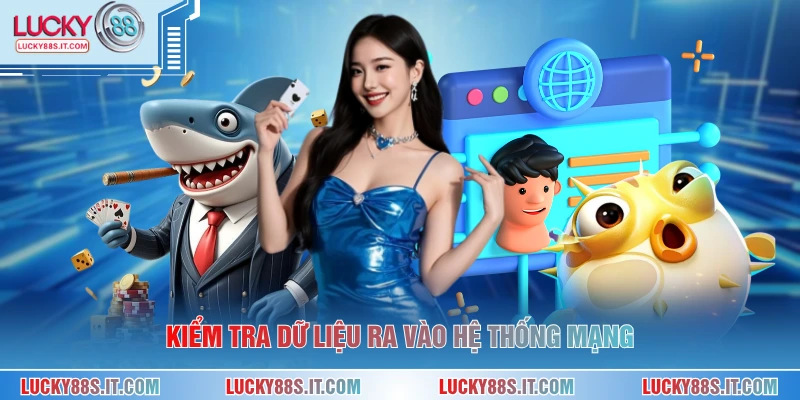 Kiểm tra dữ liệu ra vào hệ thống mạng