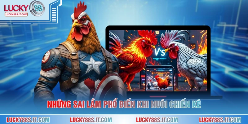 Những sai lầm phổ biến khi nuôi chiến kê