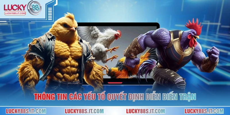 Thông tin các yếu tố quyết định diễn biến trận