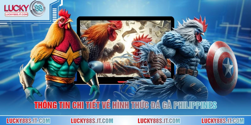 Thông tin chi tiết về hình thức đá gà philippines