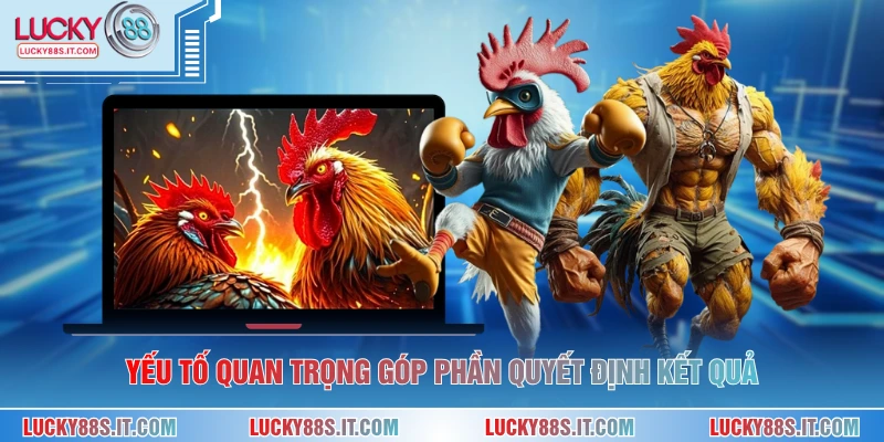 Yếu tố quan trọng góp phần quyết định kết quả