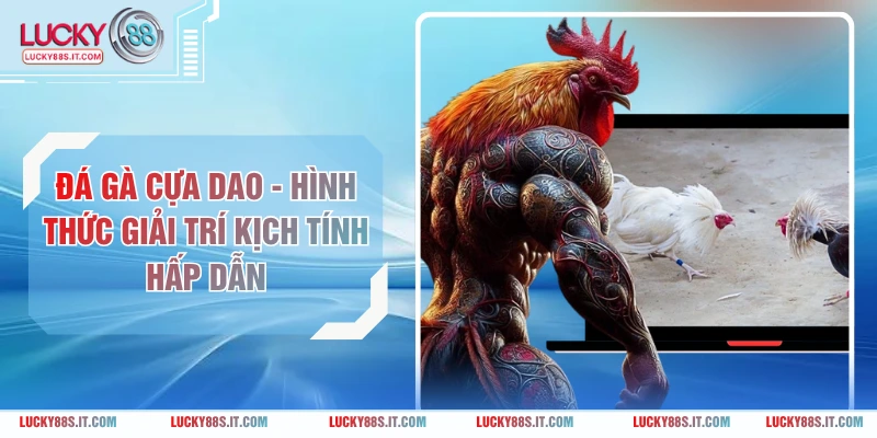 Đá Gà Cựa Dao - Hình Thức Giải Trí Kịch Tính Hấp Dẫn